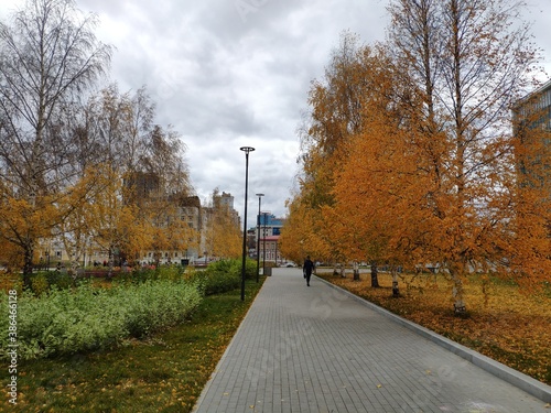 Autumn holidays in a local park