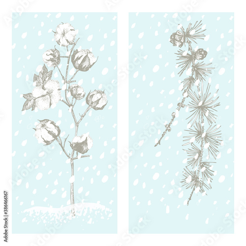 Set christmas new year card with cotton and larch Winter plants isolated on blue snow background. Hand-drawn vintage sketch botanical art. Engraving style. Flat color Vector illustration