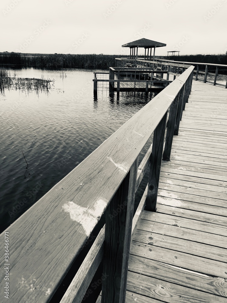 Fototapeta premium bridge