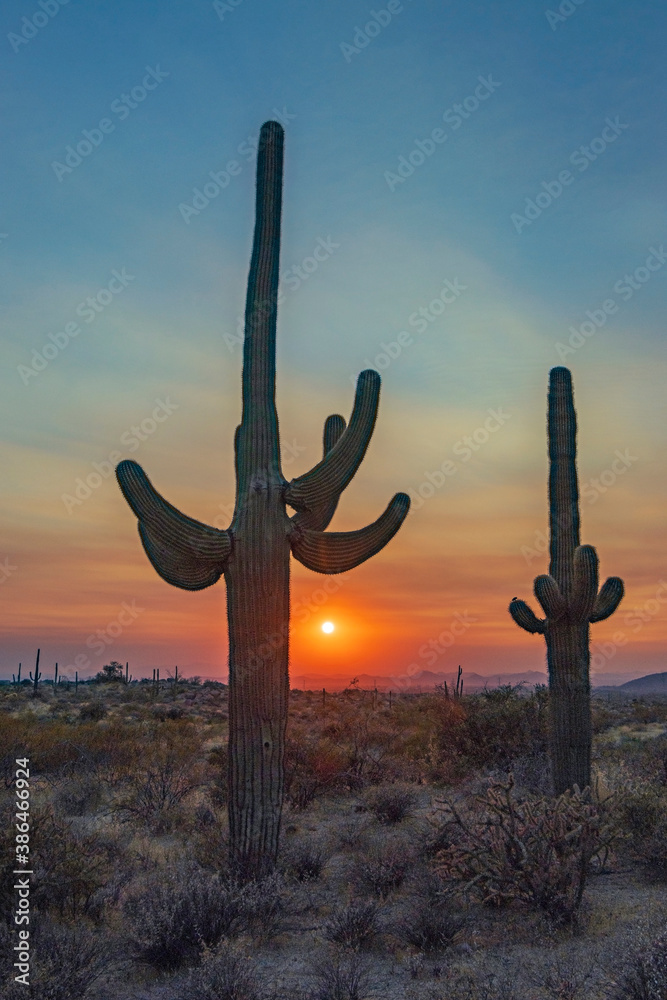 Setiing Sun In the Arizona Desert Near Phoenix