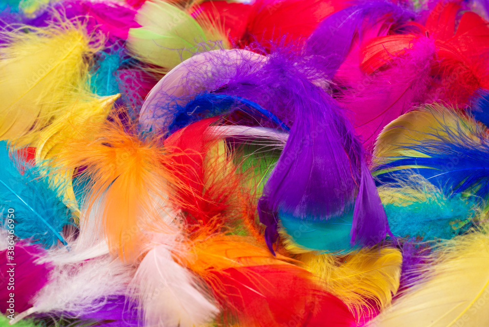 Colorful feather background.