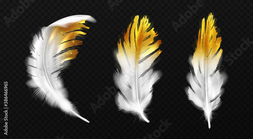 White feathers with gold glitter on edges, birds plumage or hackles with golden sparks, boho style trendy design elements isolated on black background, Realistic 3d vector illustration, icons set