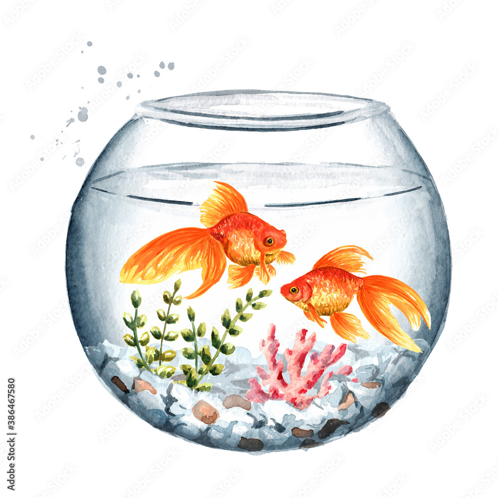 Aquarium rond avec poisson rouge Modèle 3D