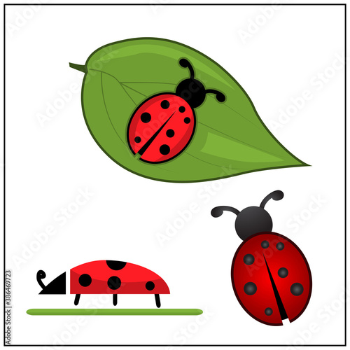 Ladybug insect icons set, Vector Illustration. Ladybug and leaf.