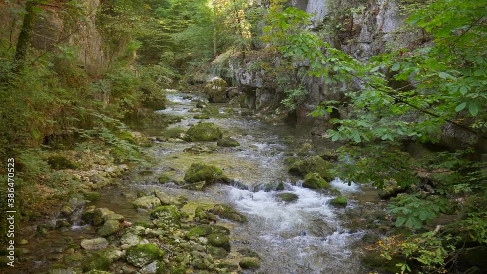 Deep Forest Beautiful Nature 4K Background. Water Stream Flowing among Mossy Rocks.Static.
Deep Forest Beautiful Nature 4K Background. Water Stream Flowing among Mossy Rocks.Static.