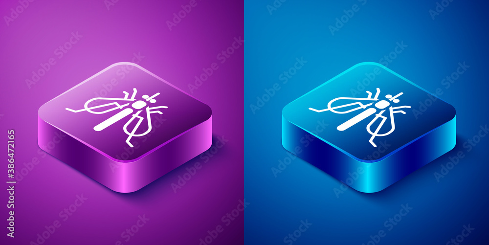Isometric Experimental insect icon isolated on blue and purple background. Square button. Vector. Isometric Experimental insect icon isolated on blue and purple background. Square button. Vector.