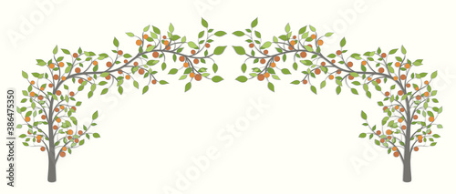 Arch of trees with green leaves and red fruit