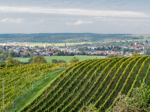 Weinbaugebiet Oberderdingen im Herbst