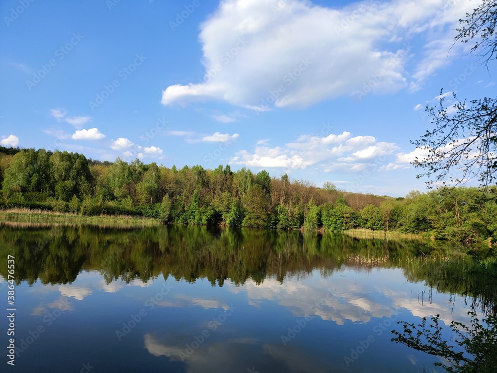 lake in the forest