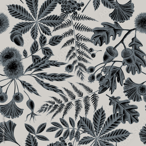 Wallpaper Mural Seamless pattern with hand drawn stylized fern, dog rose, rowan, ginkgo, maple, oak, horse chestnut, chestnut, hawthorn Torontodigital.ca
