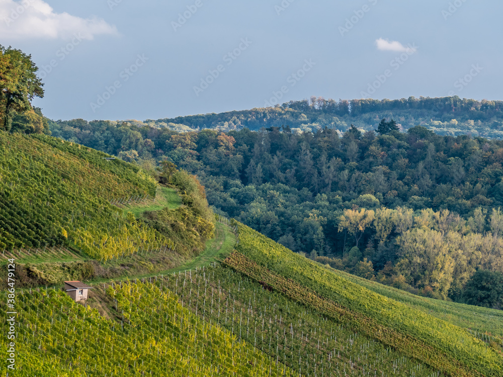 Weinbaugebiet Oberderdingen im Herbst