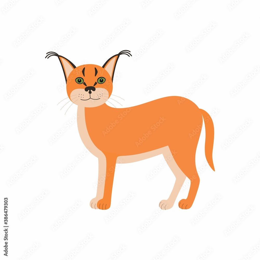 Cute animals caracal. Cartoon wild cat isolated on white background.