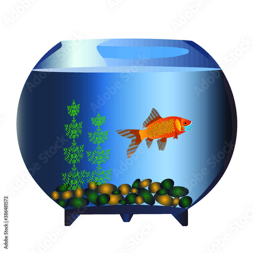 Goldfish in a medical mask in a round aquarium with rocks and algae