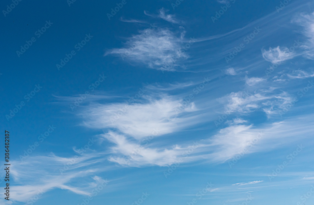 Cirrus clouds in the bright blue sky Cirrus clouds in the bright blue sky