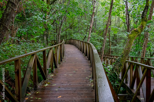 Wooden walkway to access the Natural Monument of the Secuoyas of Monte Cabez  n. Cantabria. Spain