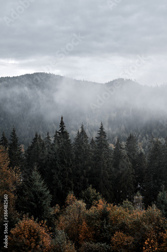 Morning landscape in the Carpathian mountains. © badahos