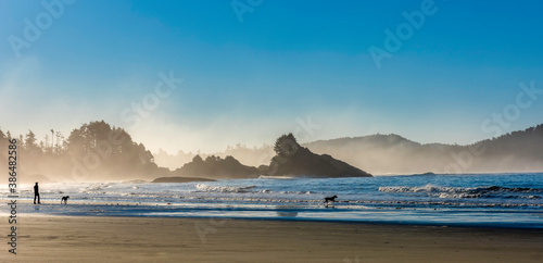a silhouette of a man and his dogs walking on the beach in Tofino photo