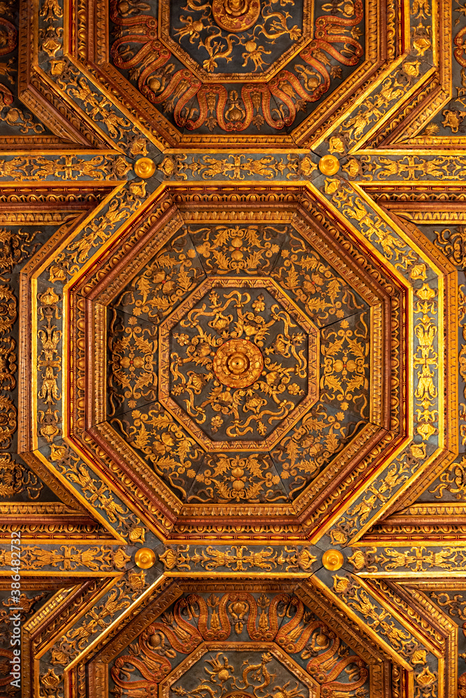 an ancient richly decorated ceiling of a stately building in Italy
