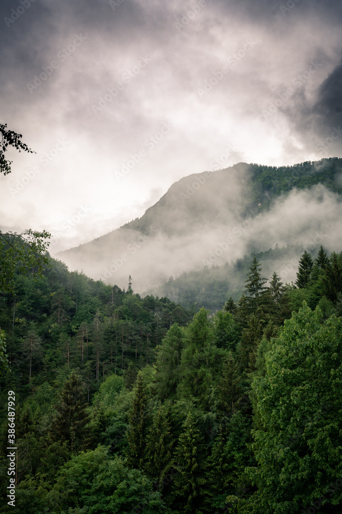 clouds over the mountains and forest,  trentino, Italy