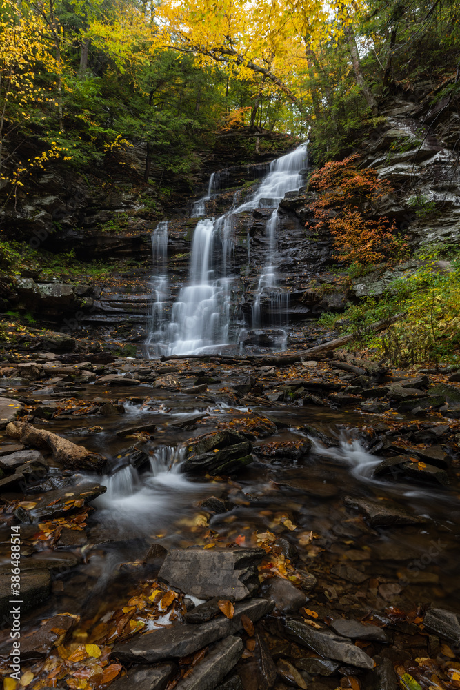 Fototapeta premium Fall Foliage Festival