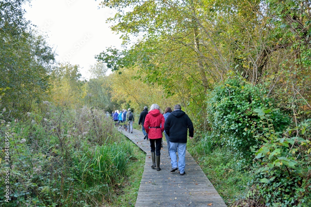 Fototapeta premium Group of retired hikers on a path in Brittany. France