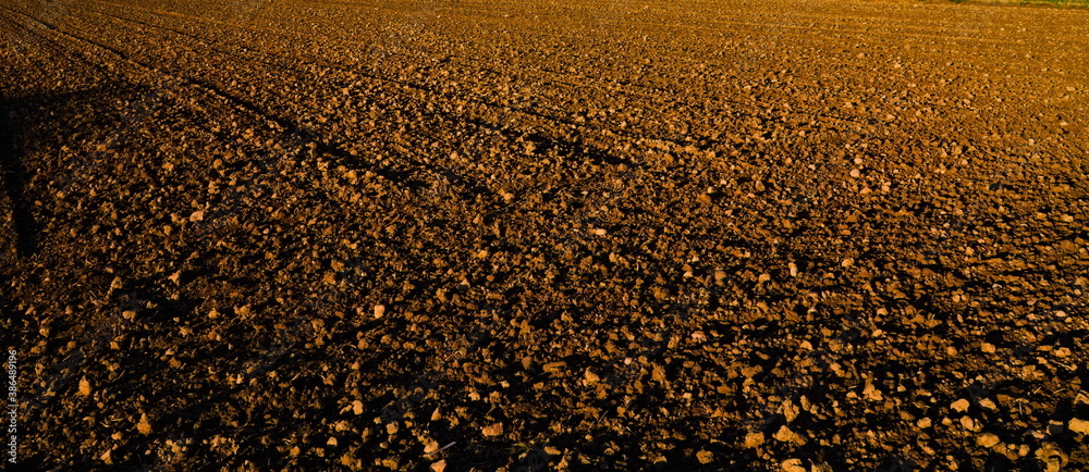 plowed field after harvest, ploughed field