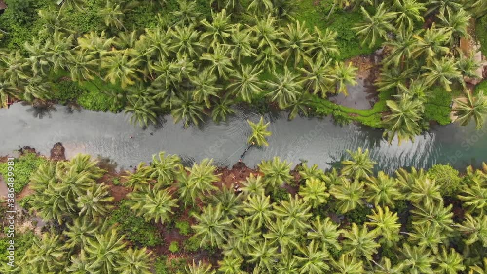 Areal view of people jumping from the palm trees. Tropical jungle at the sumer time. Siargao, Philippines Areal view of people jumping from the palm trees. Tropical jungle at the sumer time. Siargao, Philippines