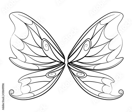 Decorative wings of a fantasy butterfly and a fairy