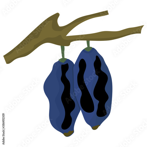 
Icon of fresh fruit hanging from stem depicting haskap berry
 photo