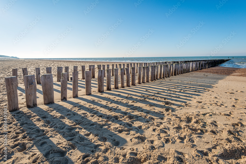 Row of weathered wooden poles and their shadows on a sunny Dutch beach in winter. It is low tide now.