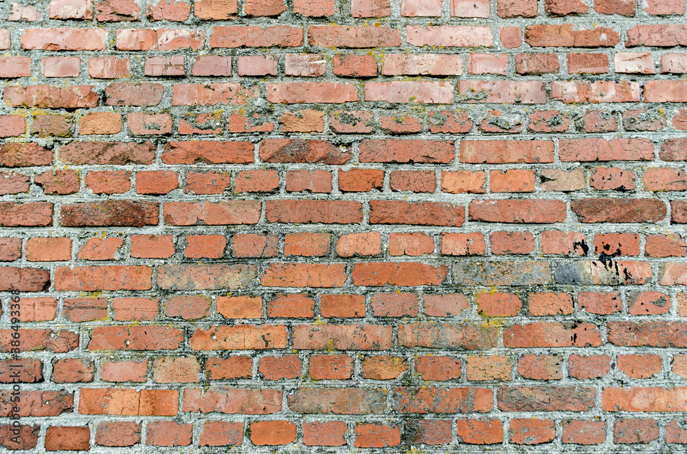 Obraz premium pattern old brick wall close up