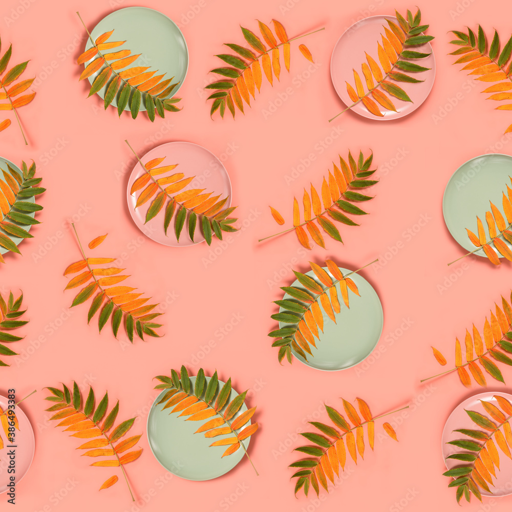 Abstract autumn colorful pattern. Autumn leaf in a round plate on a pink background Abstract autumn colorful pattern. Autumn leaf in a round plate on a pink background
