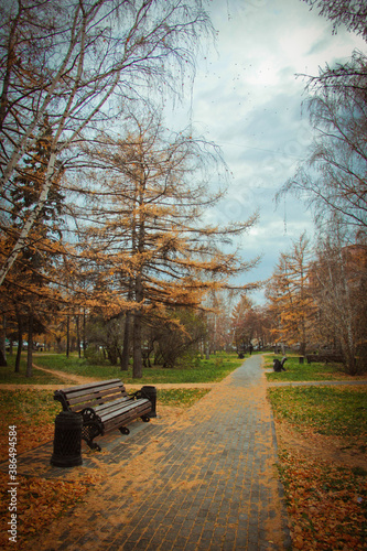 bench in autumn park © Михаил Корецкий