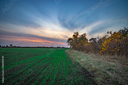 the green field and the sunset of a warm autumn. Russian Federation
