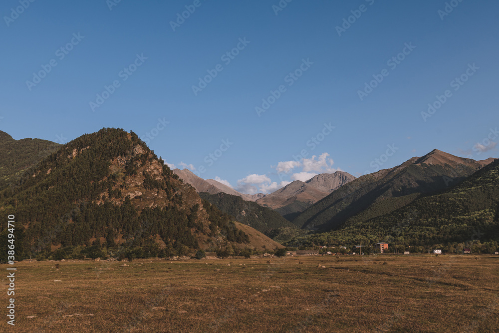 Meadow in mountains. Rural scene of agricultural field.