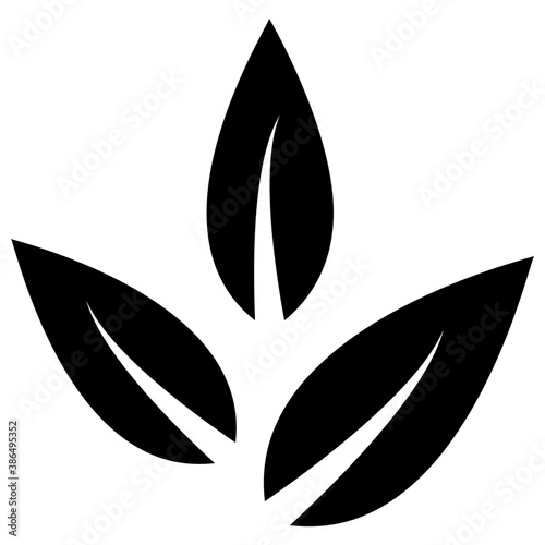 
A leaf with multiple veins inside having heart like shape called beech leaf 
