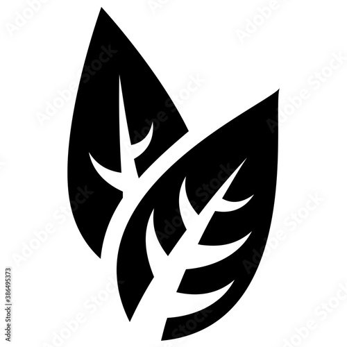 
A leaf with multiple veins inside having heart like shape called beech leaf 
