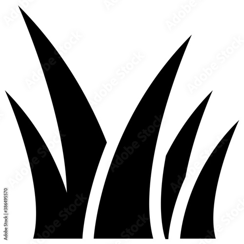 
Fluid filled broad leafy plant depicting aloe vera natural herb plant 
