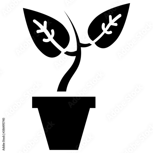 
A mud pot having growing plant inside representing pot plant 
