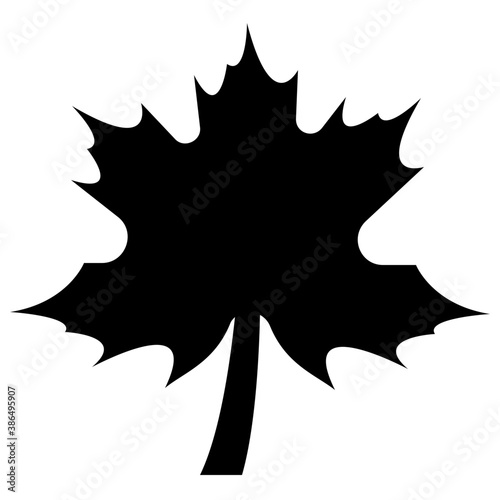 
A leaf with multiple veins inside having heart like shape called beech leaf 
