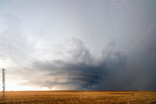 Wheat field with supercell storm clouds and thunderstorm photo