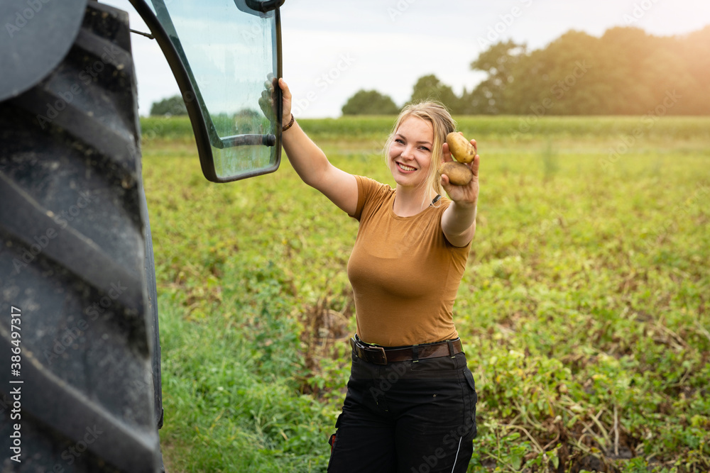 Obraz premium Kartoffelanbau, junge Landwirtin präsentiert stolz einige Kartoffeln auf einem Kartoffelacker.