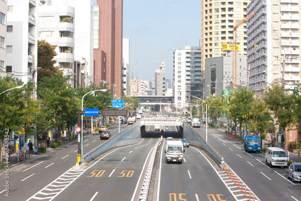 Fototapeta premium 中目黒