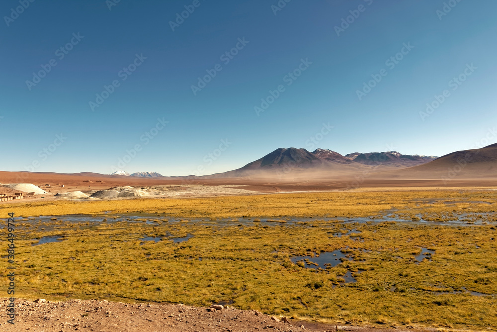 Chile – The stony desert of Atacama with the Andean mountains in the background.