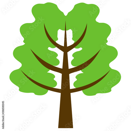 
Fluffy young branch fir tree, coniferous tree 

