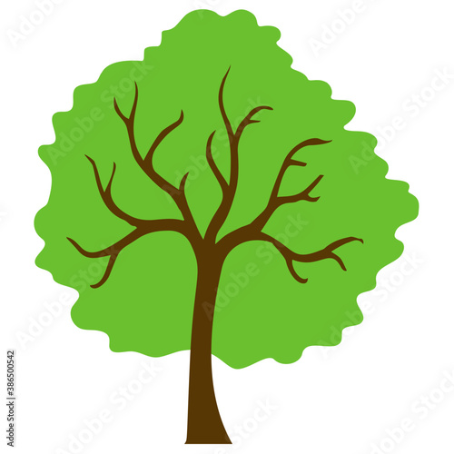 
Tree with single leaf structure as one leaf on one stem, this is apple tree icon 
