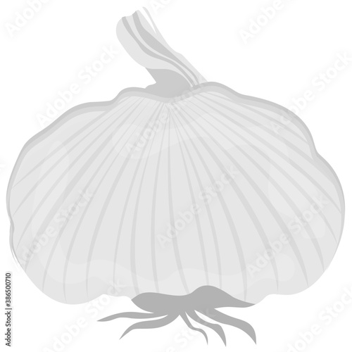 
Bulb with cloves of white tone shaping garlic bulb icon
