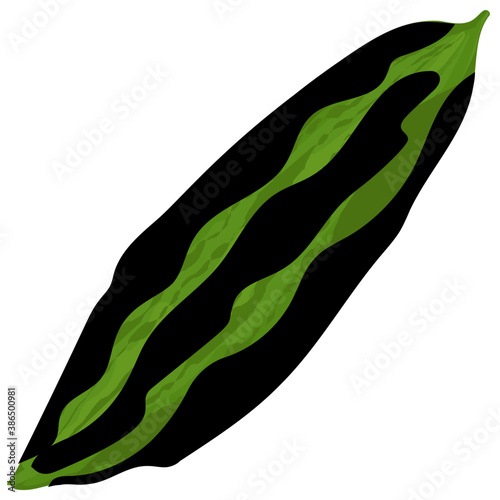 
Long vegetable in green color with rough skin layer gripping bitter gourd icon
