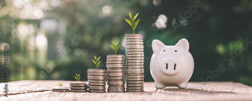business finance and saving money investment , Money coin stack growing graph with piggy bank saving concept. plant growing up on coin. Balance savings and investment.