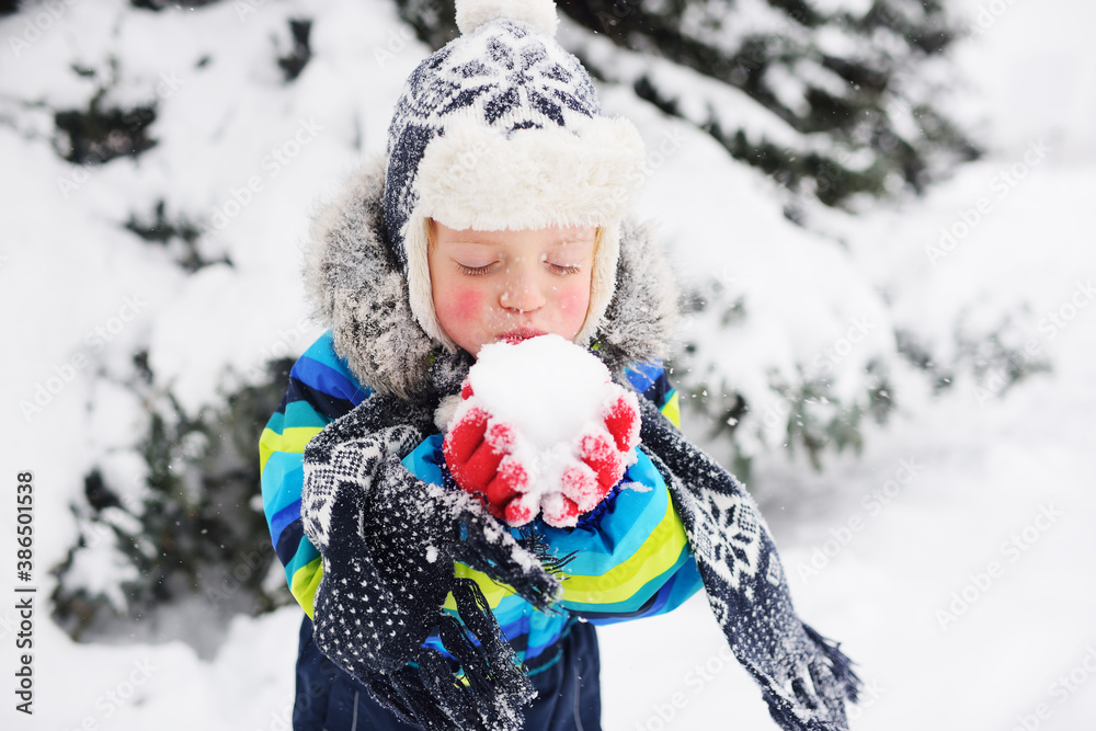 child a small boy in warm winter clothes holds snow in his hands and blows on it against the background of a winter forest and snowfall. Winter entertainment child a small boy in warm winter clothes holds snow in his hands and blows on it against the background of a winter forest and snowfall. Winter entertainment